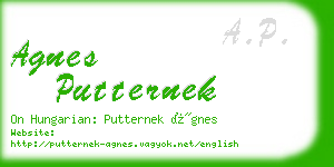 agnes putternek business card